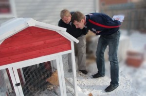 Hunter viewing some 'backyard chickens' around Webster City.
