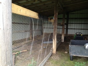 Chicken Wire Wall