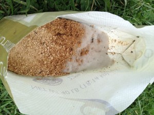 Mold in the Feed