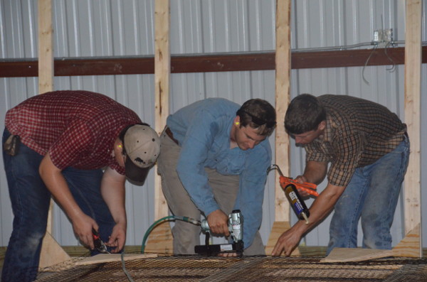 Riley, Brian and Shannon building partitions in the barn