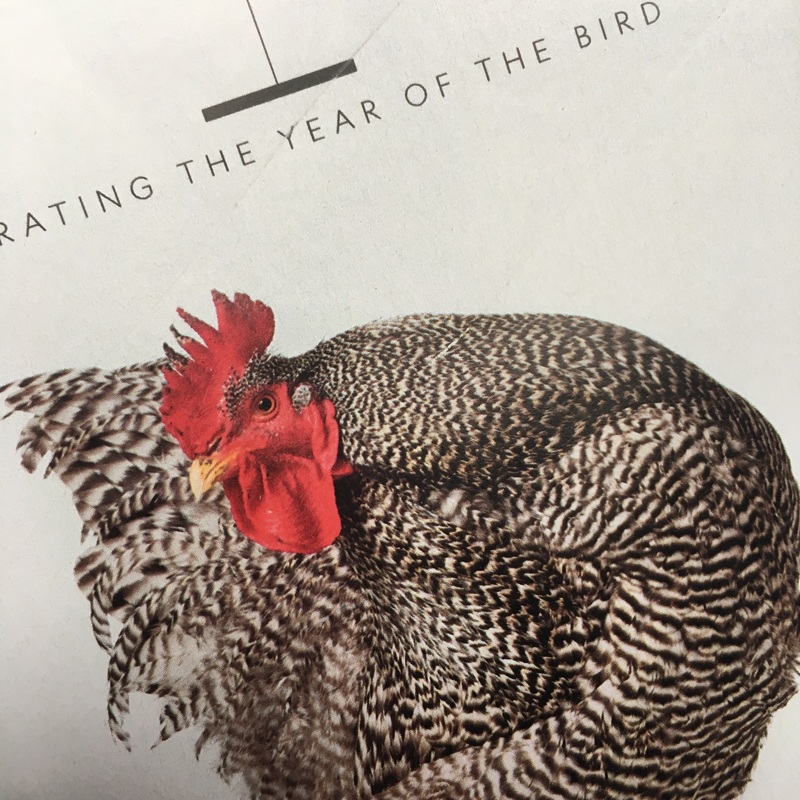 McMurray Hatchery | In TheNews | National Geographic | May 2018 | Year Of The Bird | Barred Rock
