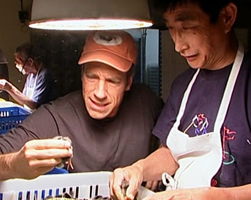 Dirty Jobs With Mike Rowe - McMurray Hatchery - The Chick Sexer