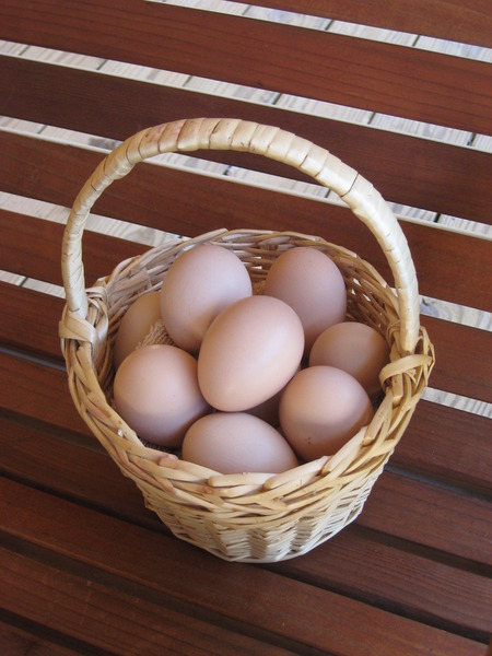 Pam's Backyard Chickens: How to Turn a Chicken Egg Basket into