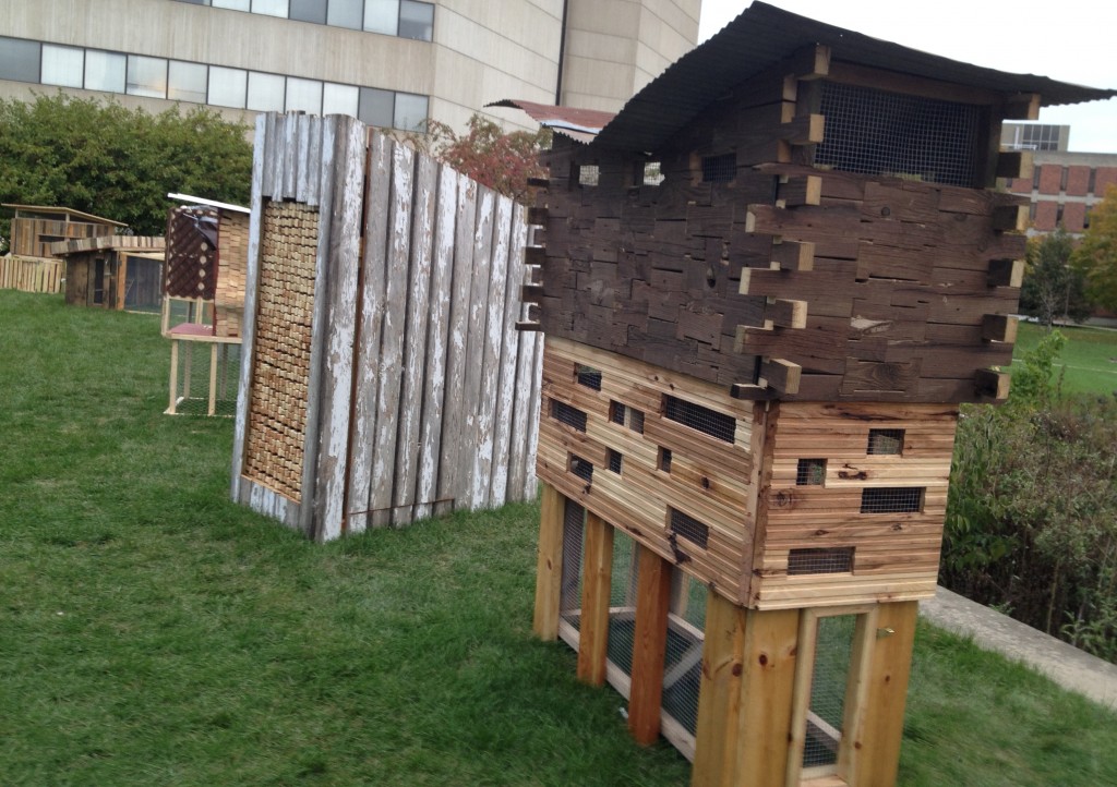 Iowa State Student Chicken Coops Murray McMurray Hatchery Blog