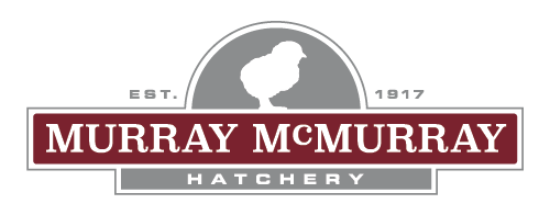 Gail Damerow Discusses Egg Candling - Murray McMurray Hatchery Blog