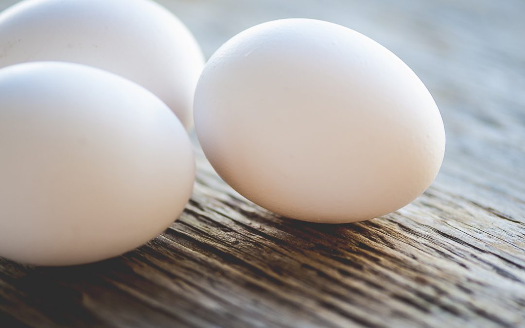 Best of Breeds Photo Contest: White Egg Layers