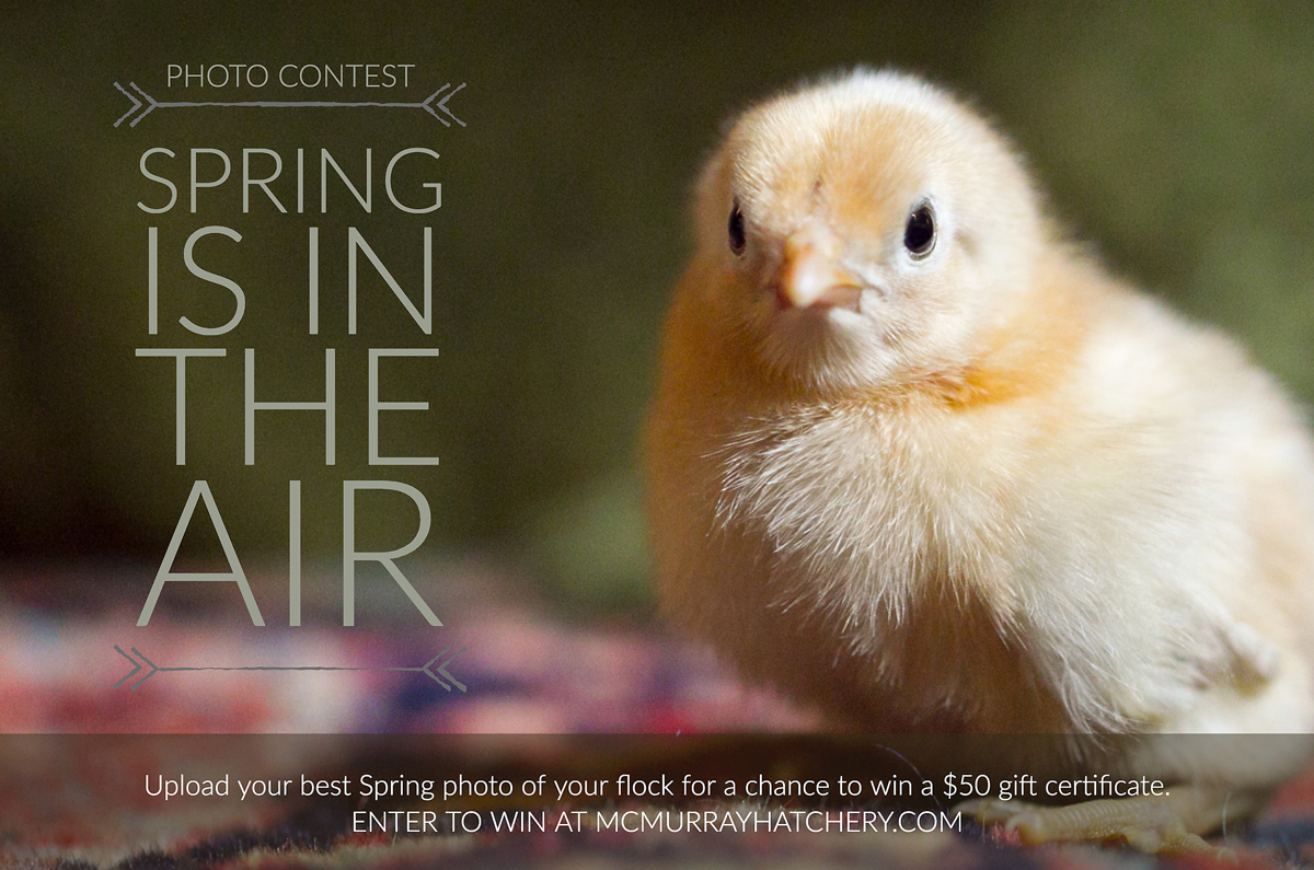 McMurray Hatchery | Spring is in the Air 2018 Photo Contest