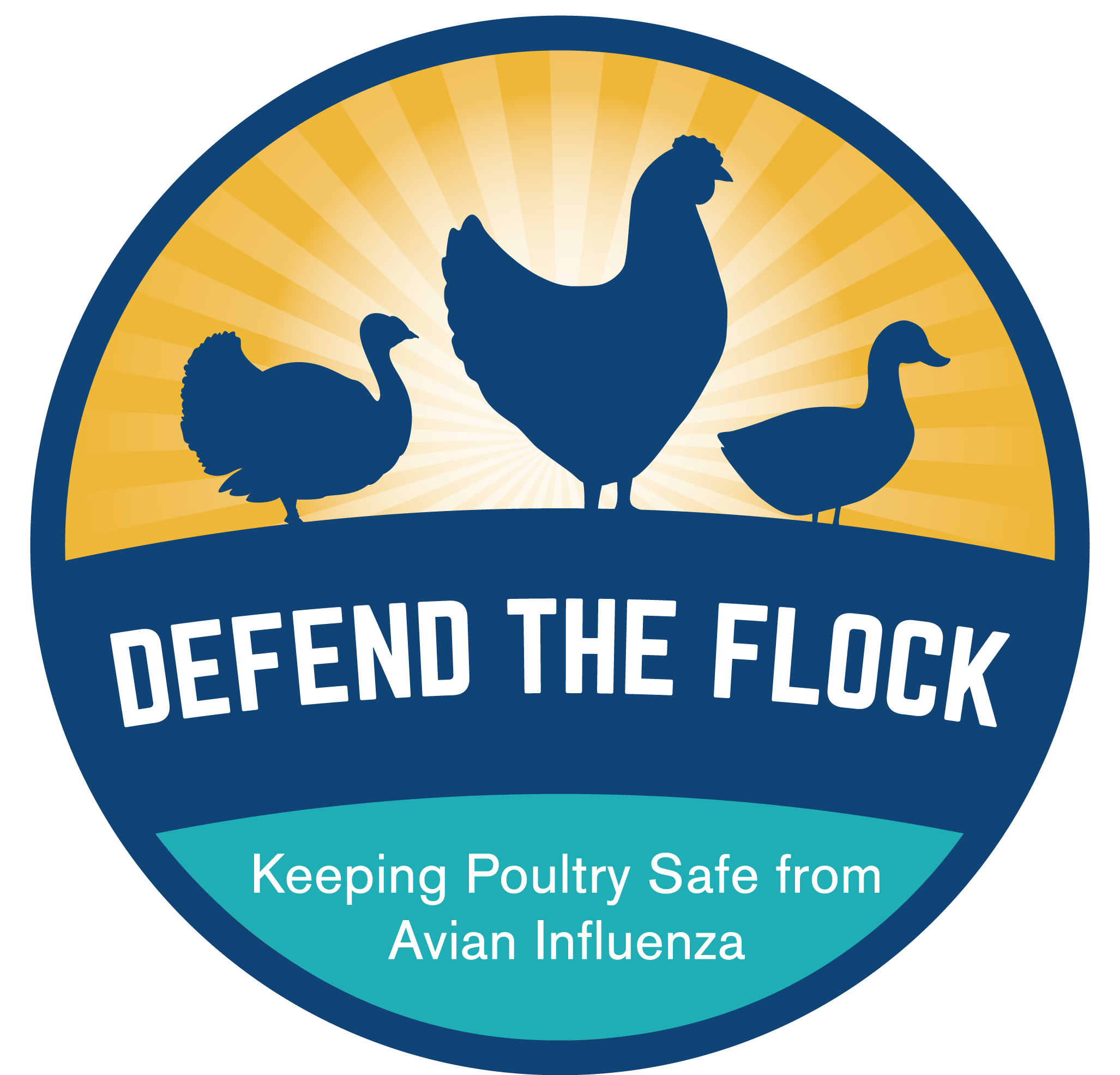 Five Basic Biosecurity Tips To Protect Your Flock Murray McMurray Hatchery Blog