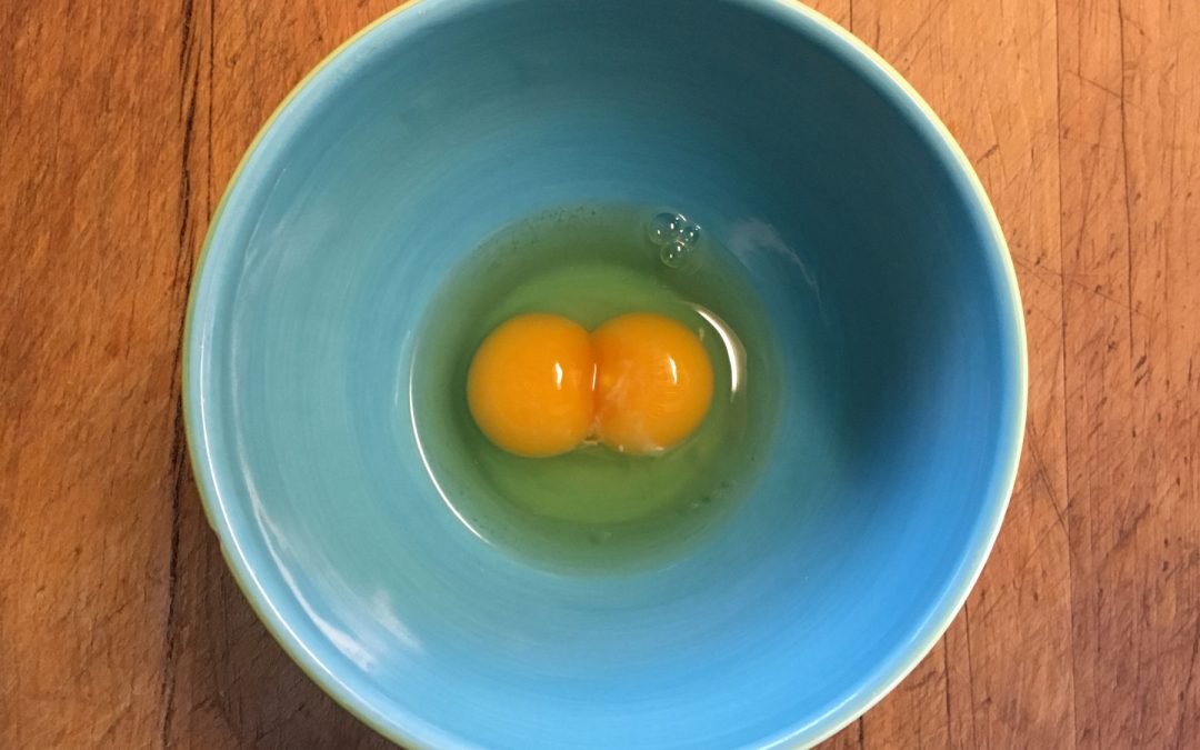 Gail Damerow Discusses Eggs with Double Yolks or Double Shells
