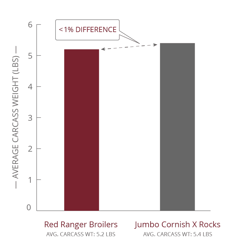 McMurray Hatchery | Iowa 4-H Meat Bird Comparison Average Carcass Weight (LBS)