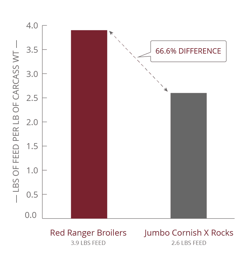 McMurray Hatchery | Iowa 4-H Meat Bird Comparison Pounds of Feed Per Pound of Carcass Weight