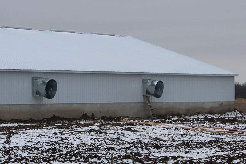 McMurray Hatchery New Barn | Building for the Future