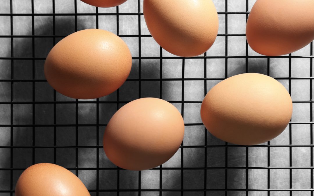 Gail Damerow Discusses Egg Anomalies
