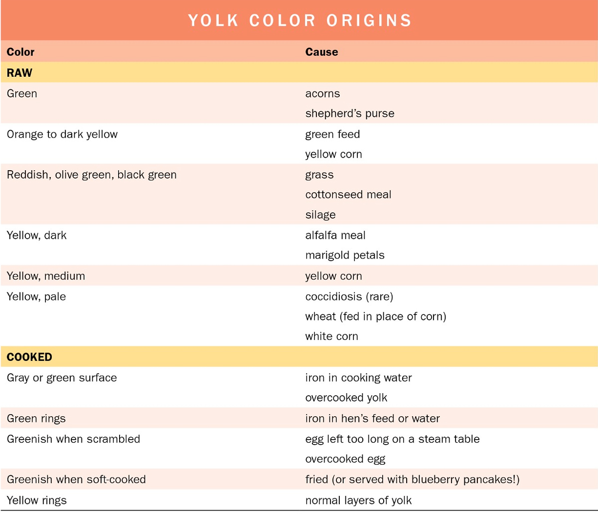 McMurray Hatchery | Storey's Guide to Raising Chickens by Gail Damerow | Yolk Color Origins