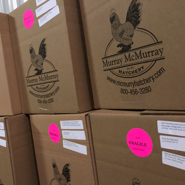 McMurray Hatchery 2019 Egg Drive