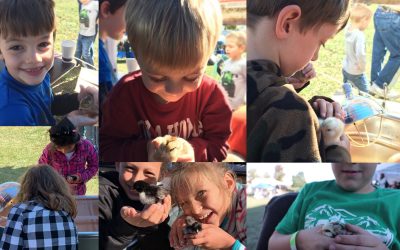 McMurray Hatchery at the 2019 Homesteaders of America Conference