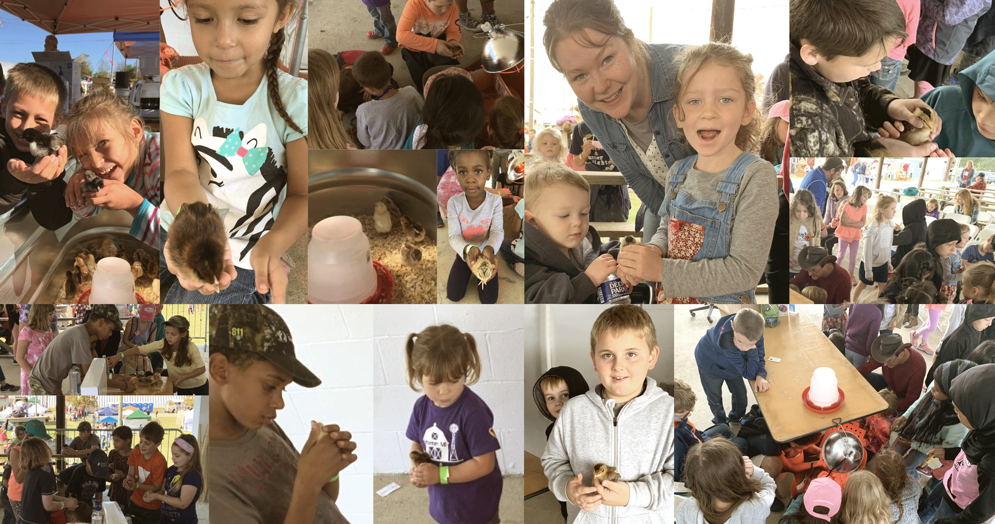 McMurray Hatchery at the 2019 Homesteaders Of America Conference | Kids Classes | Caring for Baby Chicks