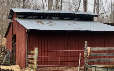 Homestead Living | Starting a Homestead
