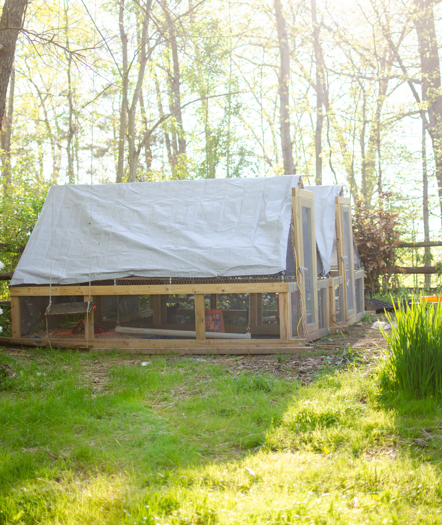 McMurray Hatchery | Using Chickens and Geese in the Garden | ChickenTractor