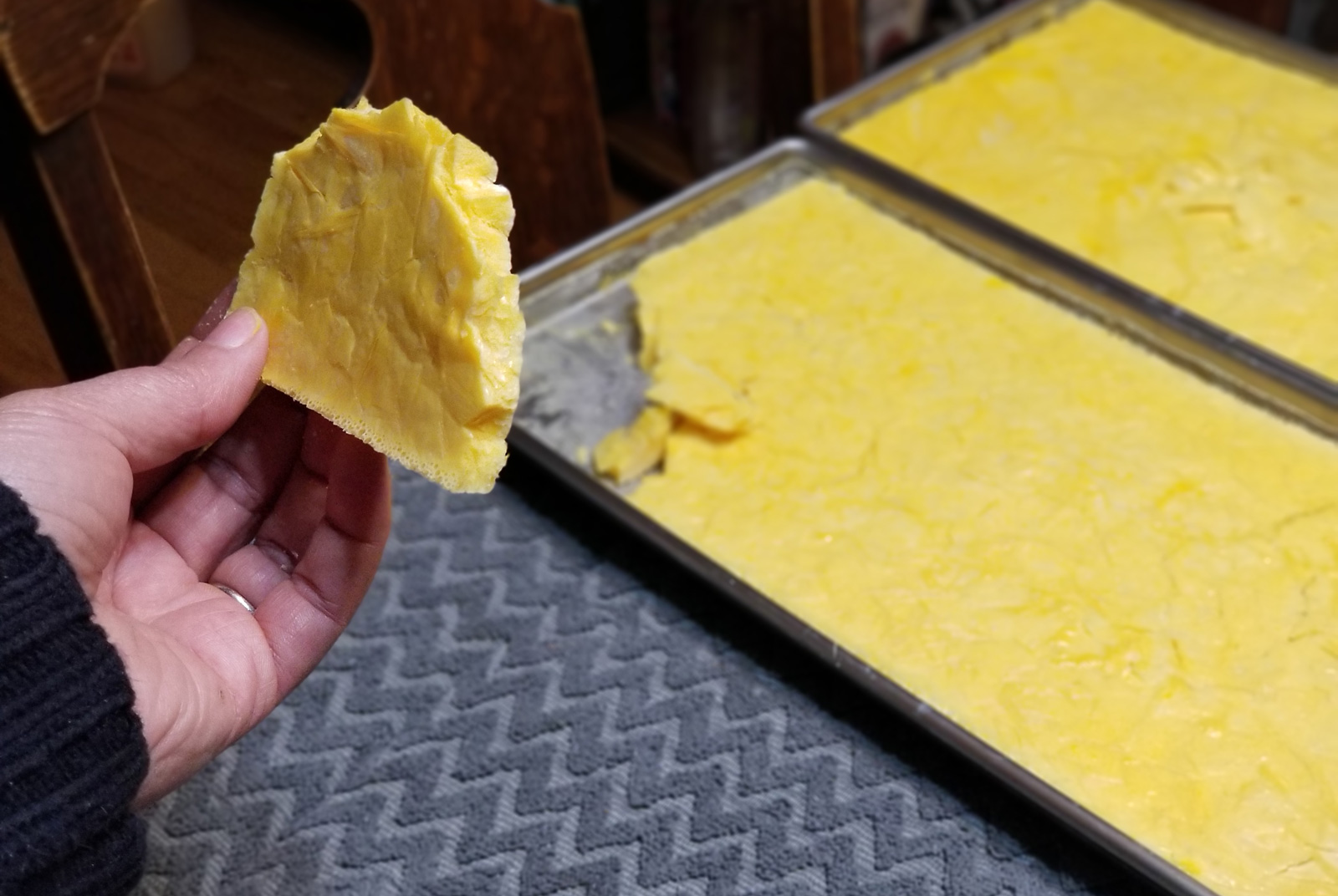 McMurray Hatchery Blog | How to Preserve Eggs | Dehydrating Eggs