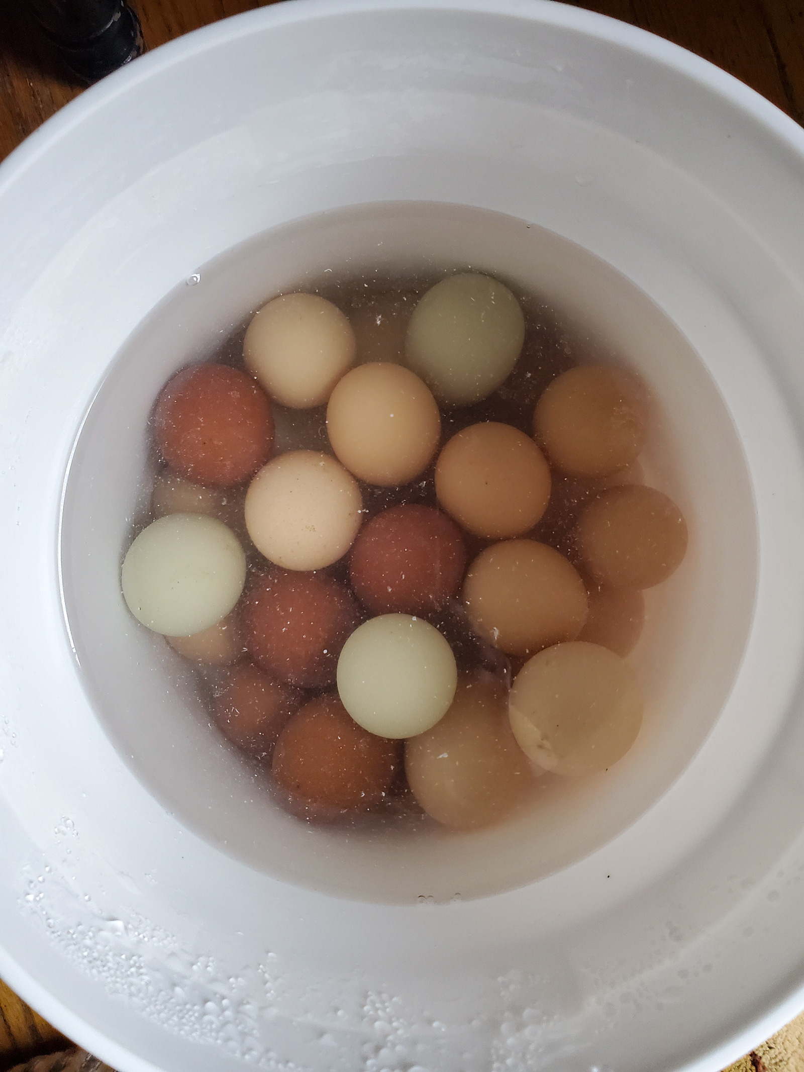 McMurray Hatchery Blog | How to Preserve Eggs | Water Glassing Eggs