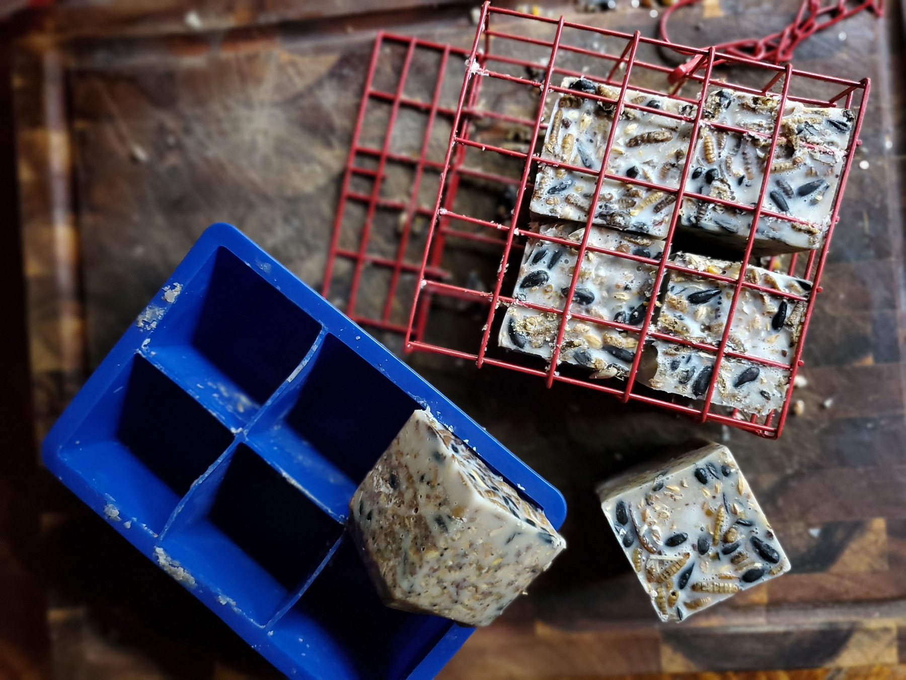 DIY Suet Blocks for Poultry