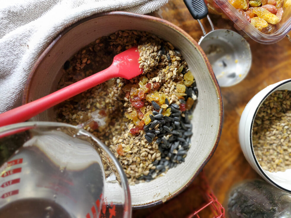 DIY Suet Blocks for Poultry High Protein Treats for Molting Season