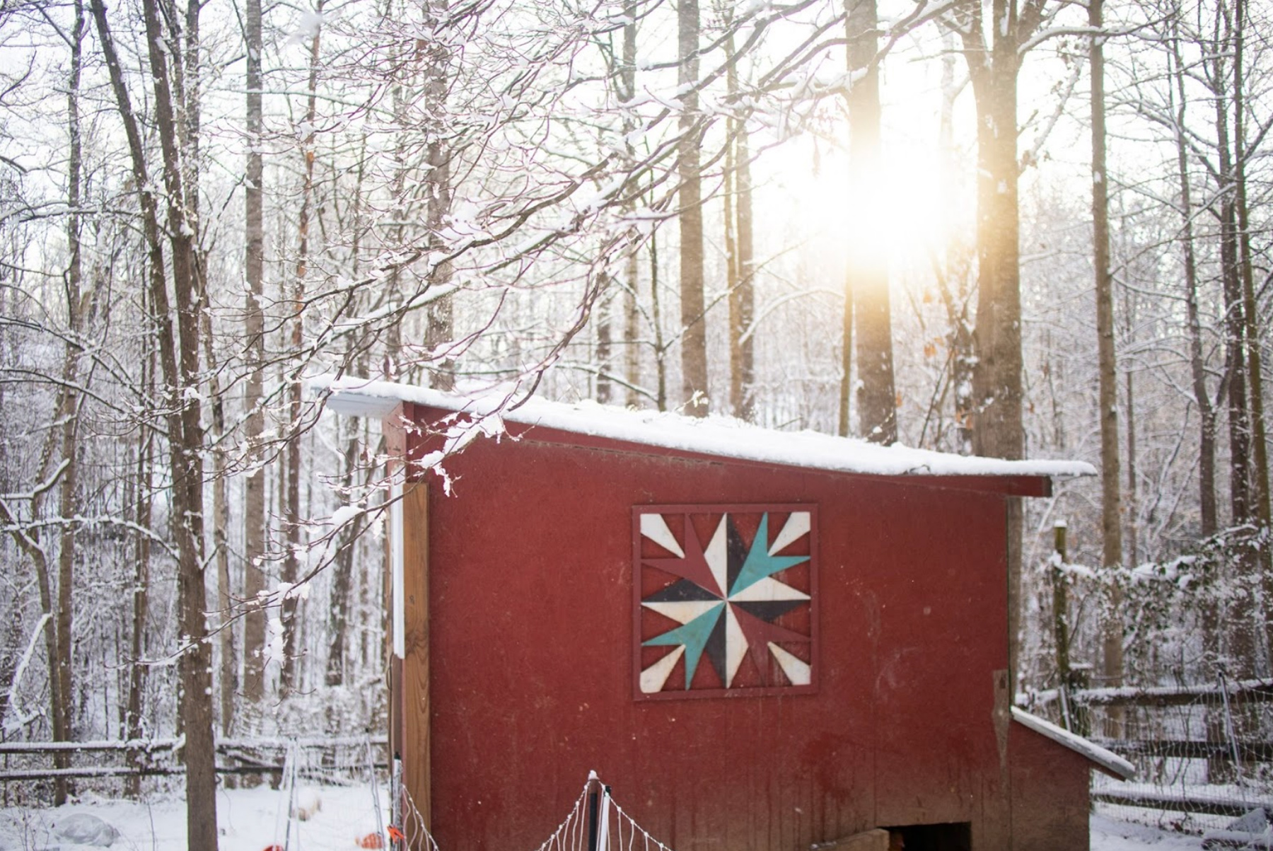 McMurray Hatchery Blog | Winter Chicken Coop | Deep Litter Method for Chickens in Winter