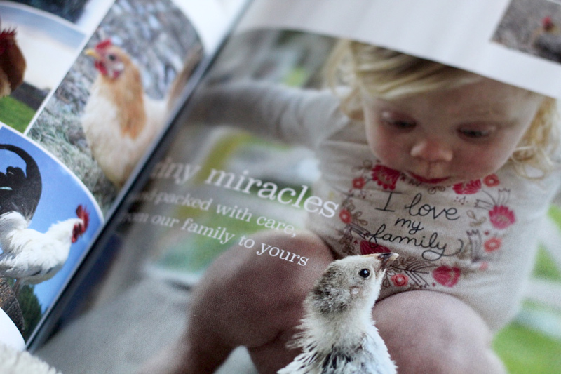 McMurray Hatchery 2021 Catalog - Kids and Chickens