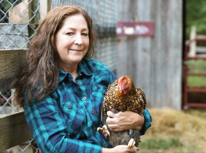 Best Backyard Chickens - Timber Creek Farm