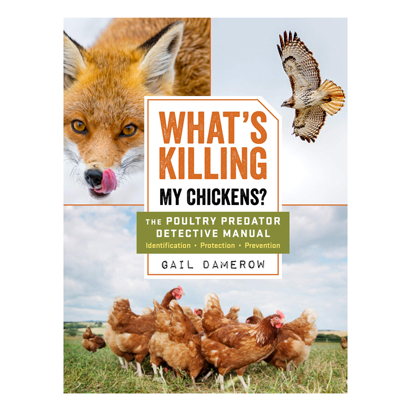 McMurray Hatchery | Books | What's Killing My Chickens by Gail Damerow