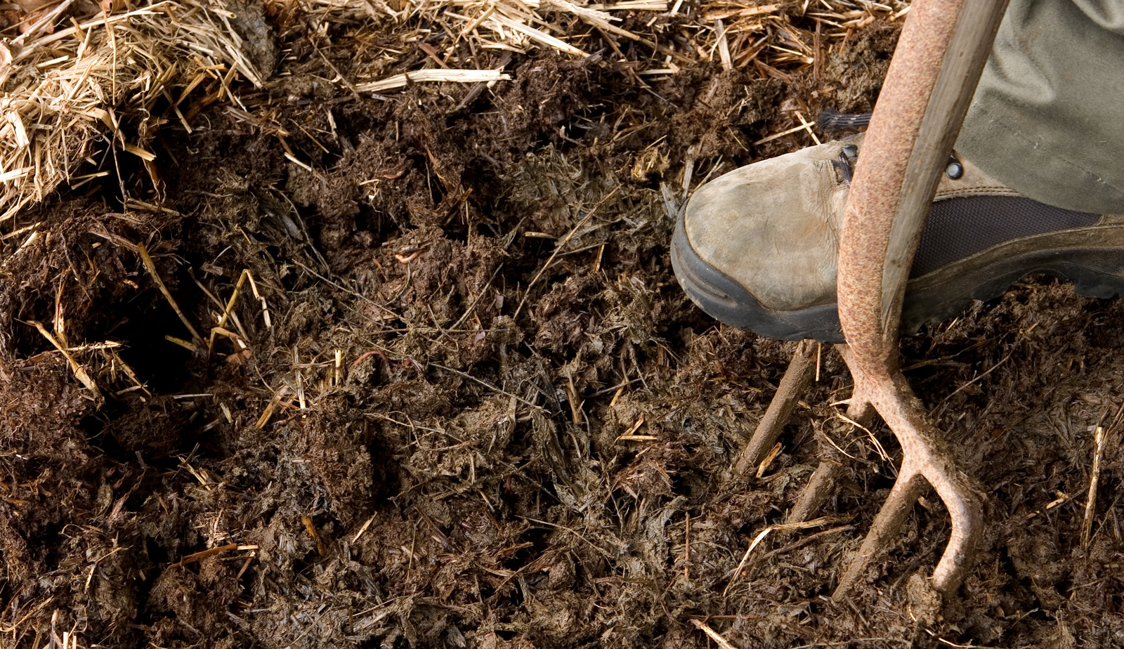 McMurray Hatchery Blog | Composting Chicken Manure Fertilizer