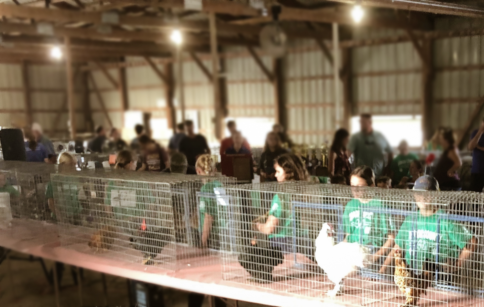 Murray McMurray Hatchery Blog