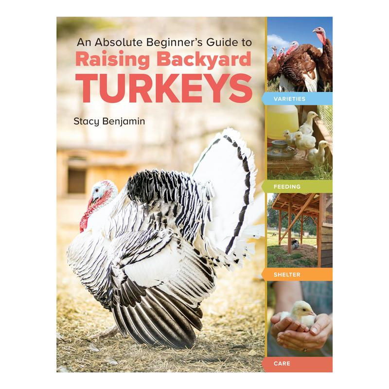 McMurray Hatchery | Books | An Absolute Beginner's Guide to Raising Backyard Turkeys by Stacy Benjamin